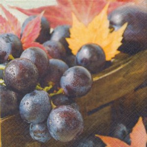 Szalvéta Purple grapes